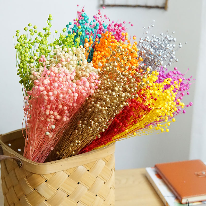 35g/保存されたオルモシア・ホシエ天然本物の花カラフルな乾 - Dried Flower Bouquet のレビューと価格