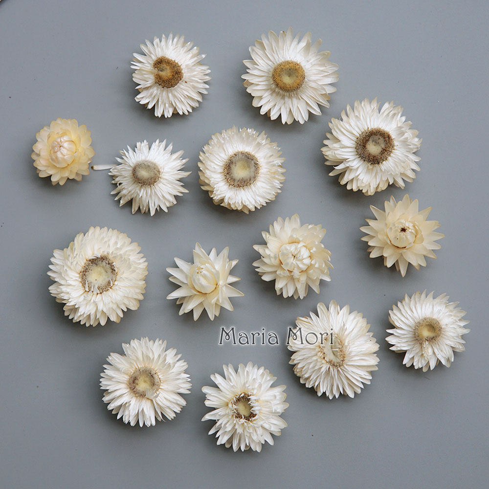 天然のドライでカラフルな菊の花輪,手作りのヘアアクセサリー, - Dried Flower Bouquet のレビューと価格