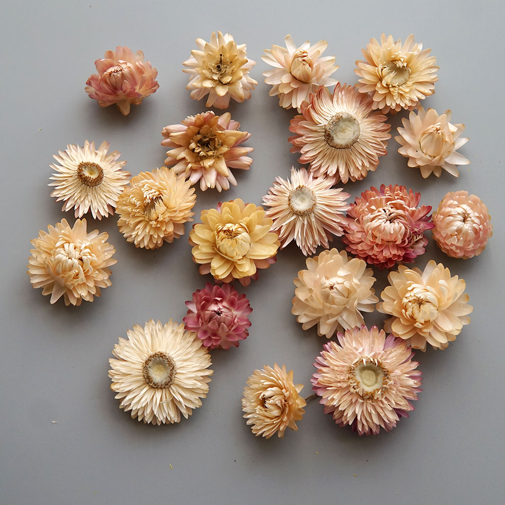 天然のドライでカラフルな菊の花輪,手作りのヘアアクセサリー, - Dried Flower Bouquet のレビューと価格