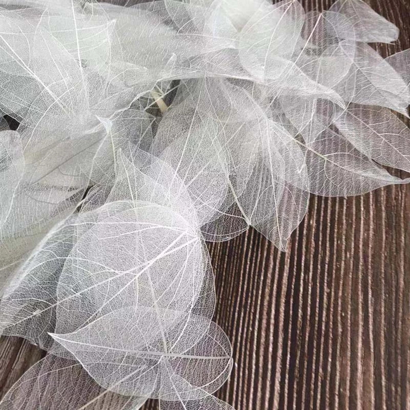 5~9CM*2~3.5CM、100個/セット、本物の乾燥天然 - Dried Flower Bouquet のレビューと価格