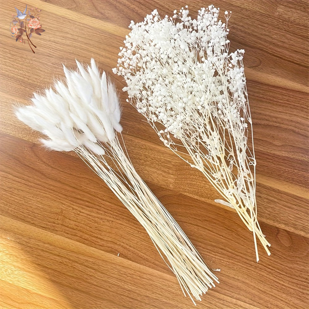 54 個ホワイトドライフラワーブライダルマリアージュブーケナ - Dried Flower Bouquet のレビューと価格