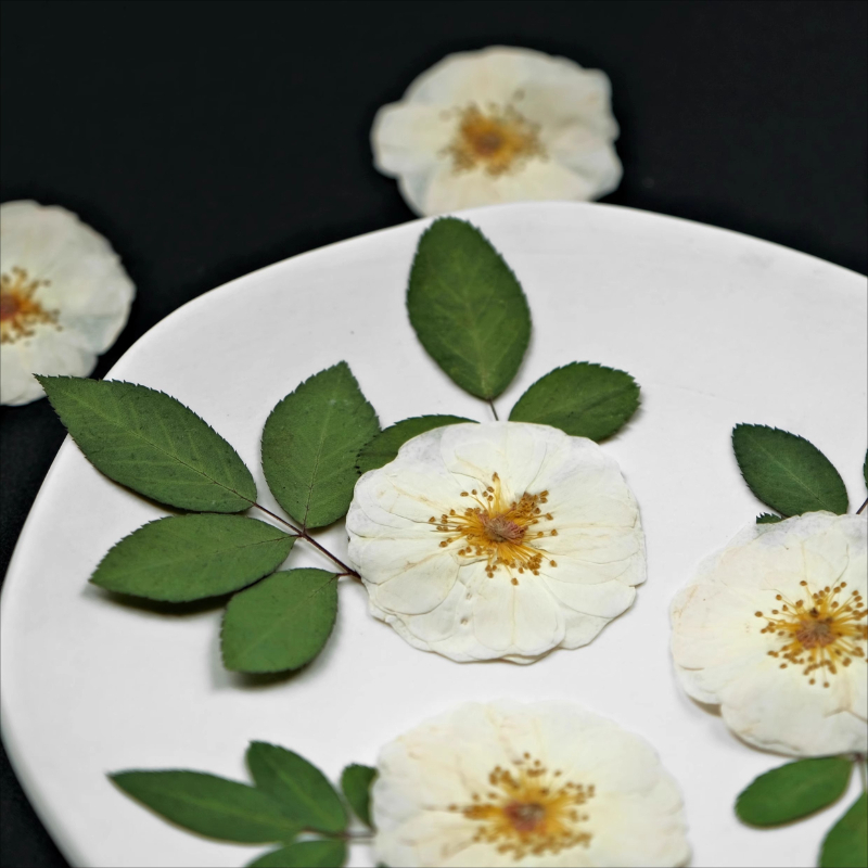 6個、9個、自然の白いバラの押し花 DIYクラフト ドライロ - Dried Flower Bouquet のレビューと価格