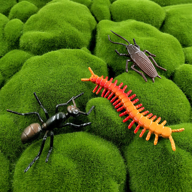 昆虫動物モデル12個セット：トンボ、クモ、アリ、カマキリ、ハ - Home Decor Humacao のレビューと価格