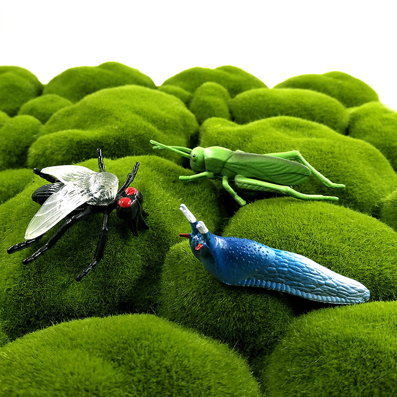 昆虫動物モデル12個セット：トンボ、クモ、アリ、カマキリ、ハ - Home Decor Humacao のレビューと価格