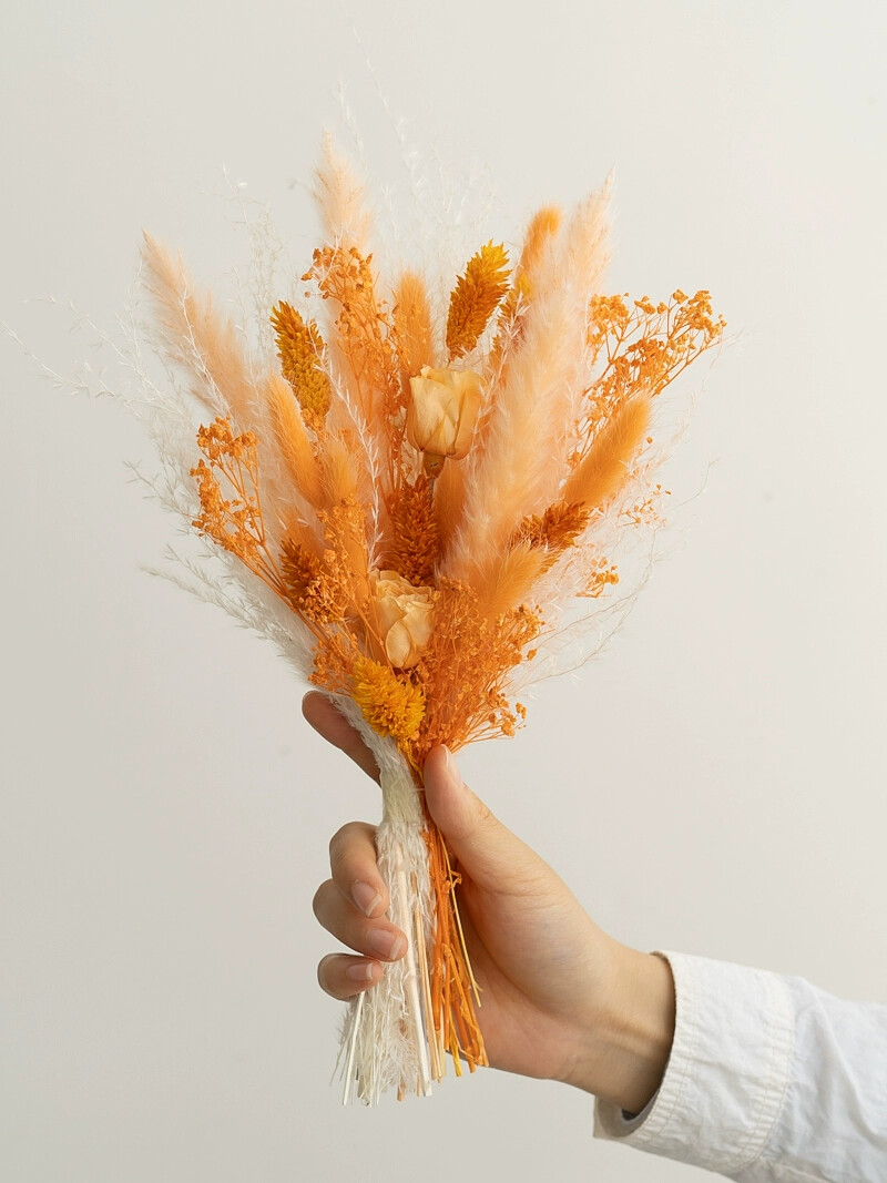 プリザーブドローズ ラビットテール リード ドライフラワーブ - Dried Flower Bouquet のレビューと価格