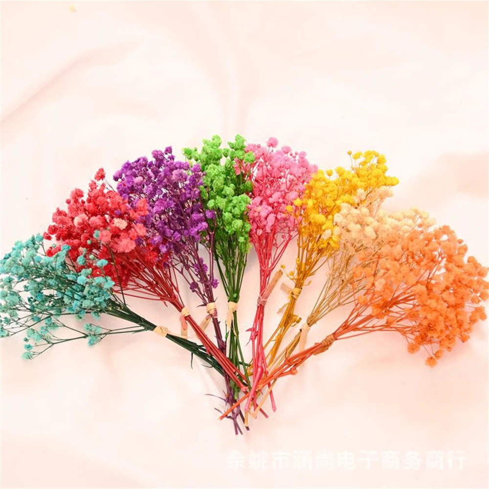 ミニGypsophilaドライフラワー、天然赤ちゃんブレス保 - Dried Flower Bouquet のレビューと価格