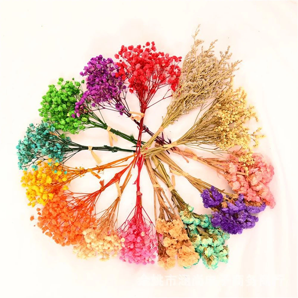 ミニGypsophilaドライフラワー、天然赤ちゃんブレス保 - Dried Flower Bouquet のレビューと価格